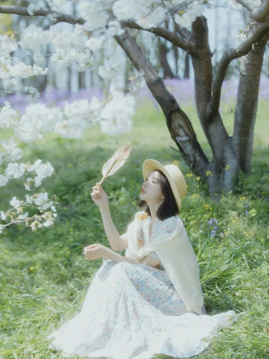 斗鱼歌姬周二珂曝自己要去韩国整容，网友问其项目，其回应：反正不是不协调的大项目！